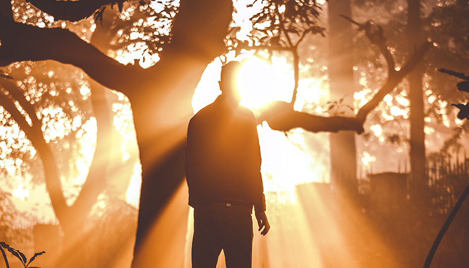 metade de um milagre